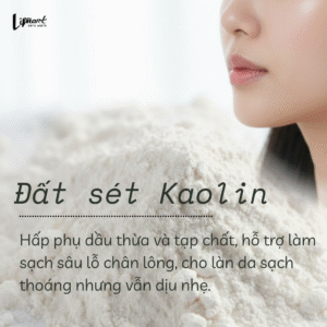 Bánh tẩy trang tẩy da chết mặt 9 3. dat set Kaolin 2