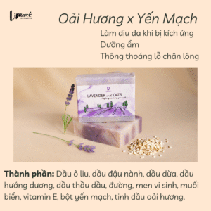 Bánh tắm tẩy da chết cơ thể (Xà phòng thảo mộc) 12 oai huong yen mach