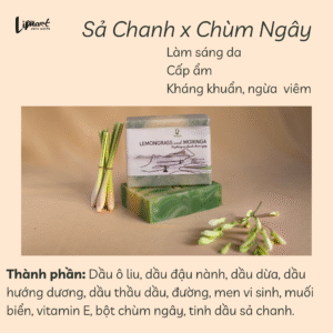 Bánh tắm tẩy da chết cơ thể (Xà phòng thảo mộc) 9 sa chanh chum ngay Copy