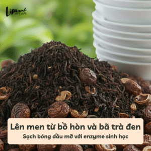 bo hon va ba tra den