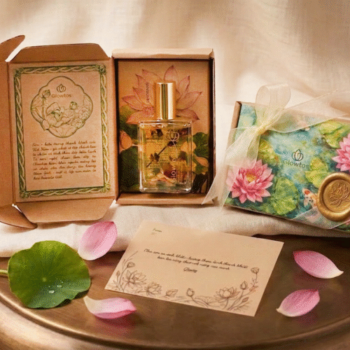 Set quà Dầu dưỡng